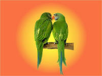 bonnes vacances.....